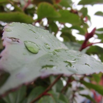tsaPhotoClubwk7 (29)